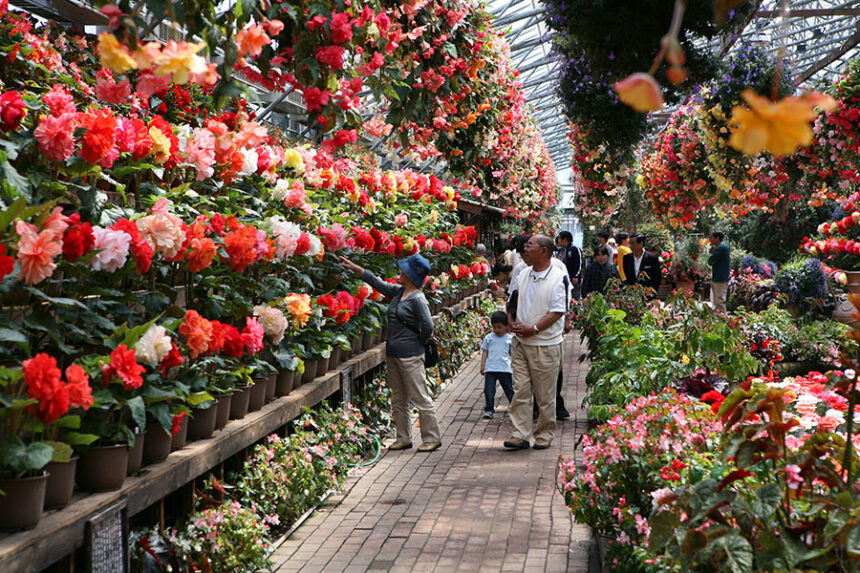 ペンギンとゼロ距離⁉えさやりが近すぎる鳥と花の楽園