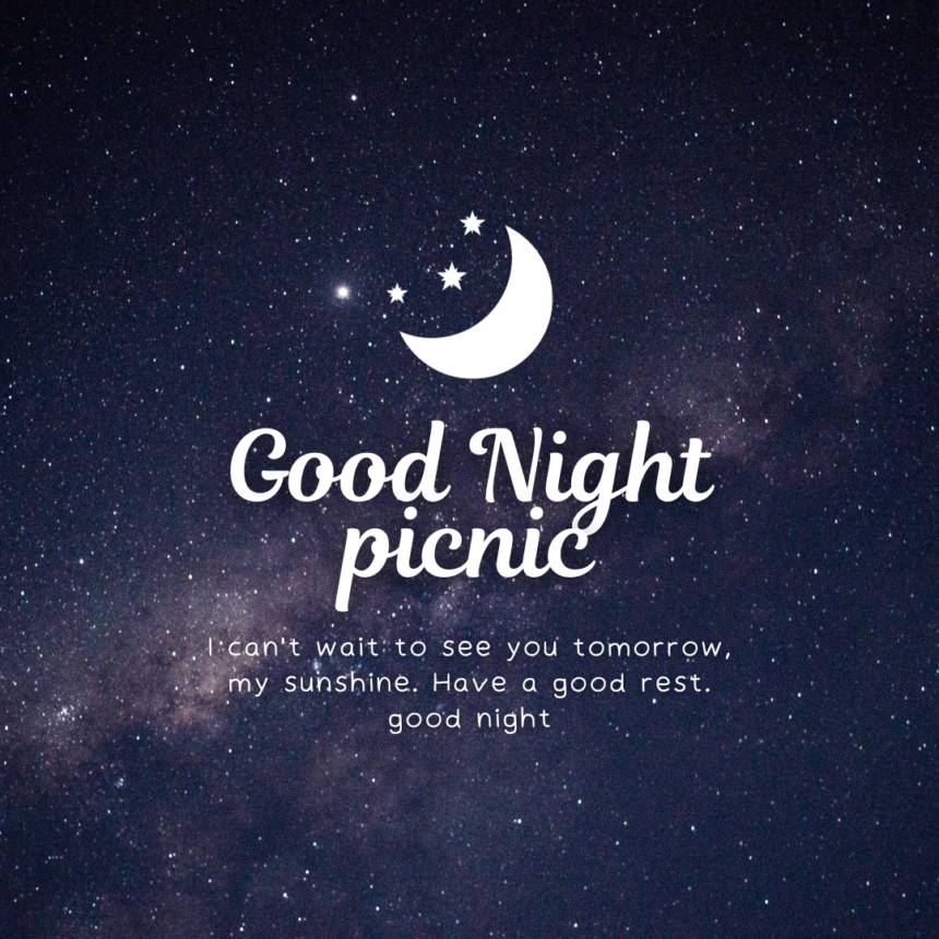 夜のピクニックにおすすめ　衛生、安全、安心が問題ない場所は？