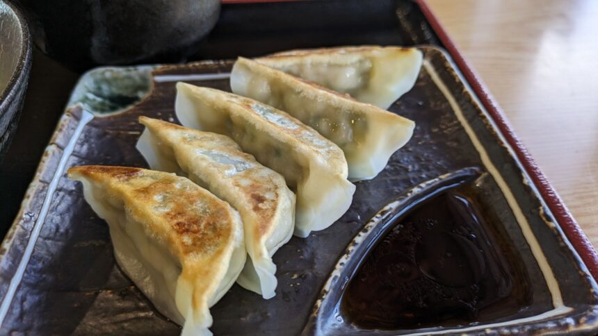 ねぎにら入‼ご当地宇都宮のぱんぱんに餡が詰まった焼餃子